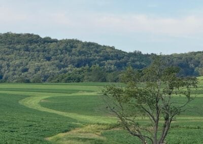 Deep Creek Daily Notes Blog July 30