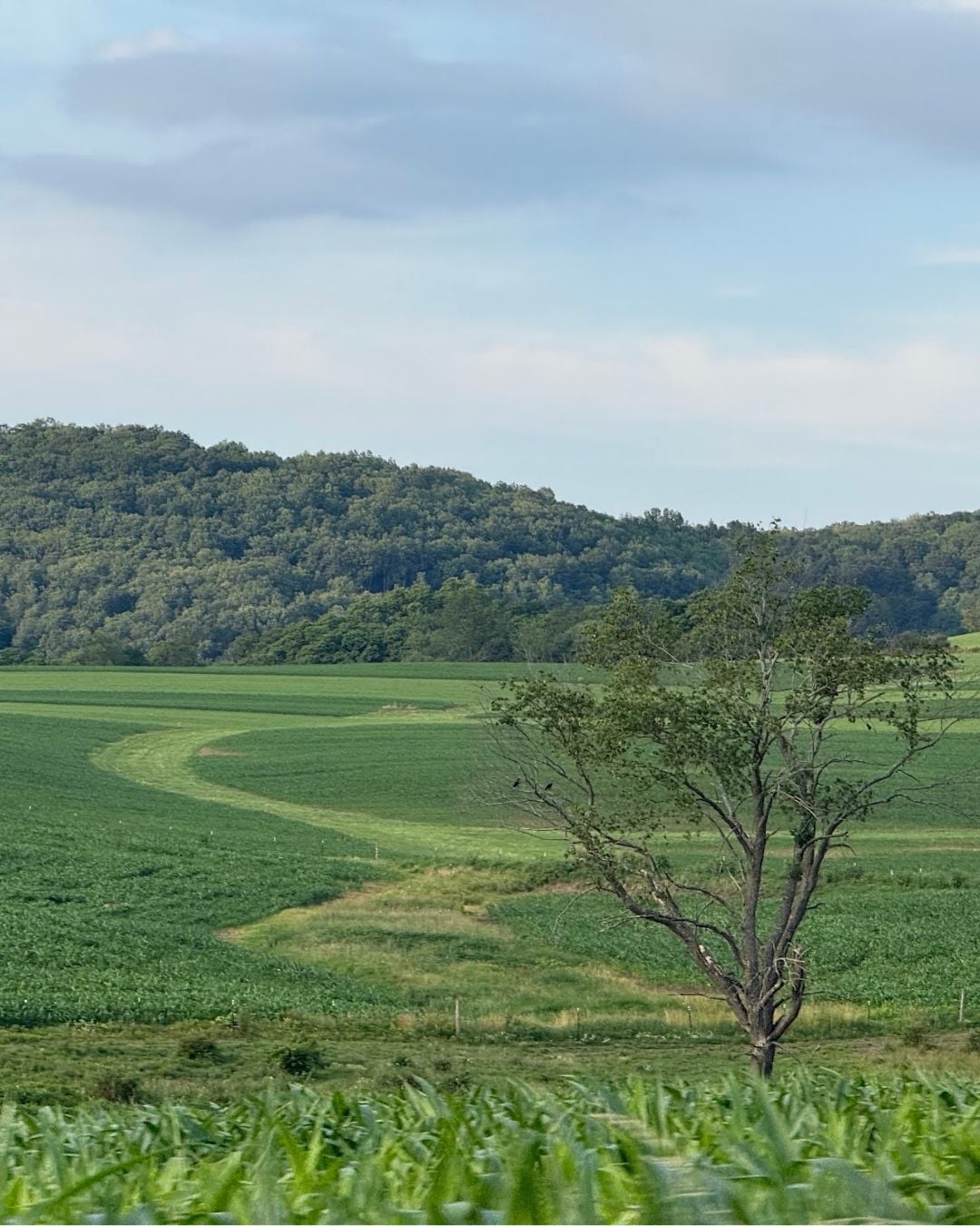 Deep Creek Daily Notes Blog July 30 Deep Creek Daily Notes Blog July 30