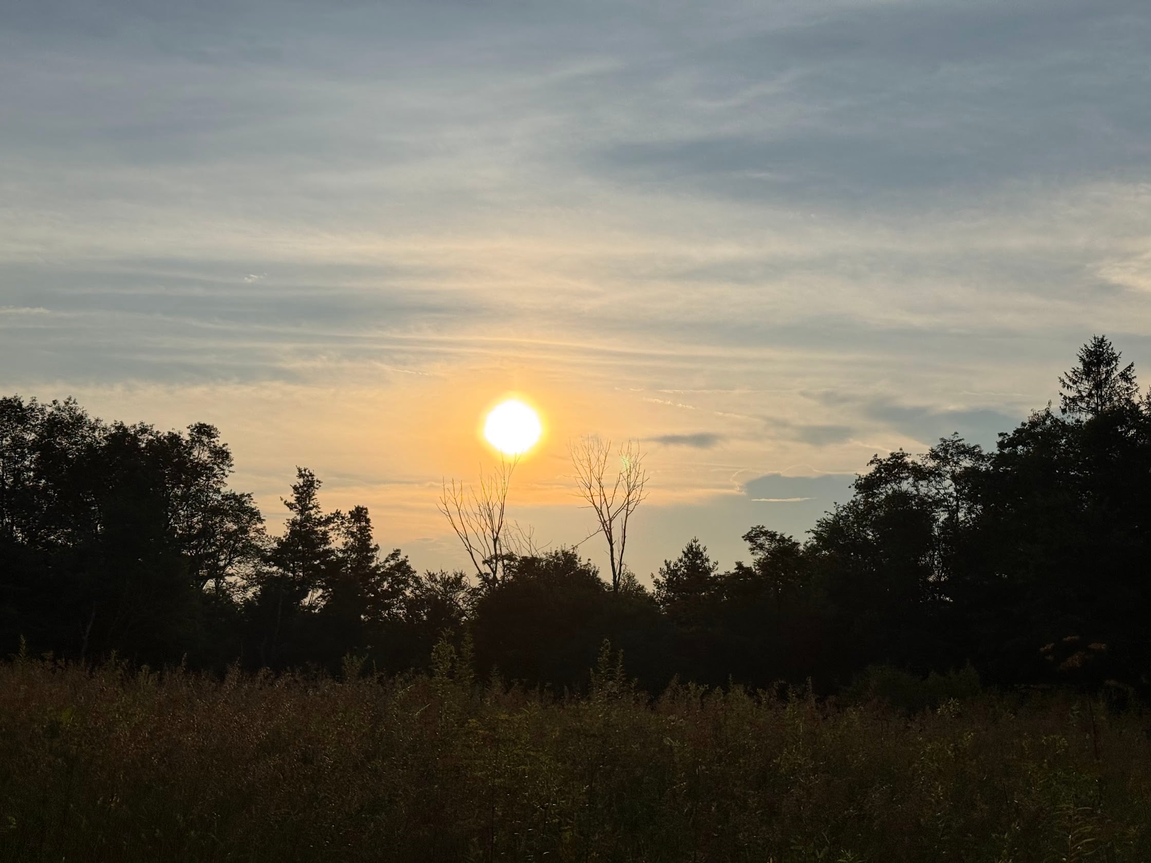 Deep Creek Daily Notes Blog July 31