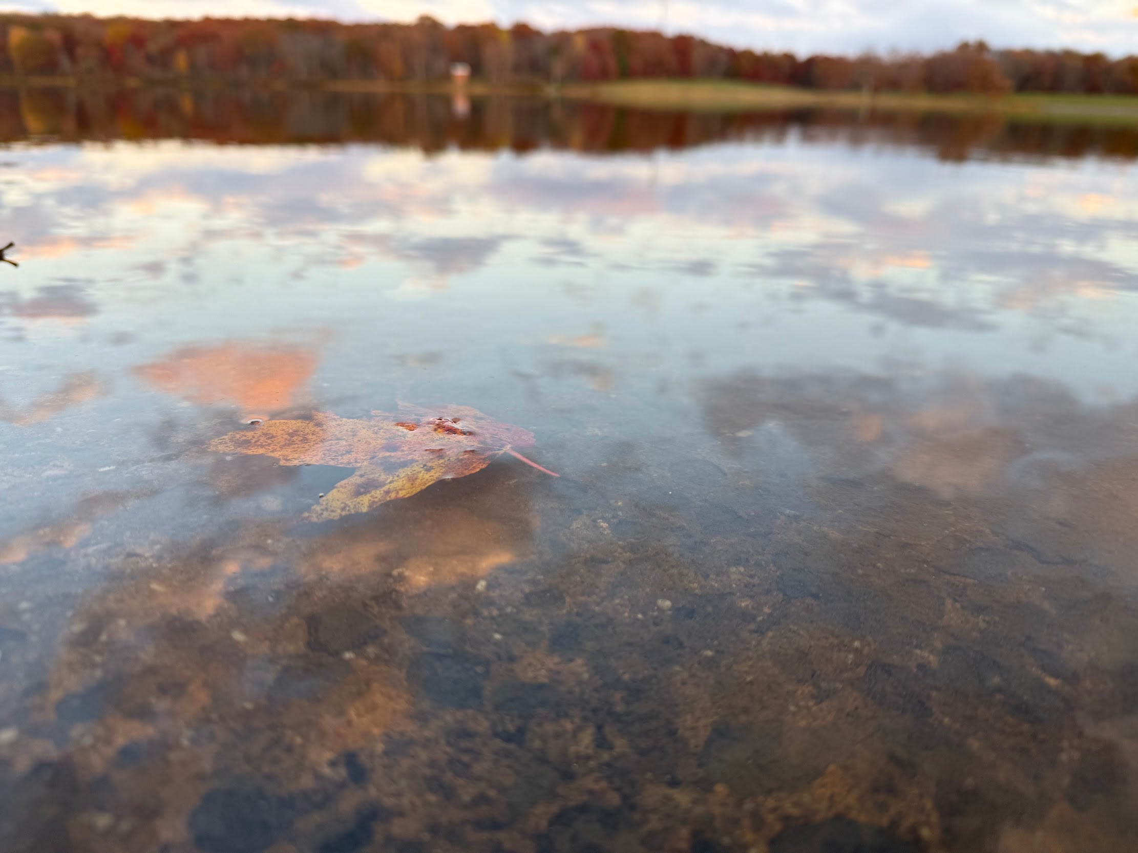 Deep Creek Daily Notes Blog November 24 Deep Creek Daily Notes Blog November 24