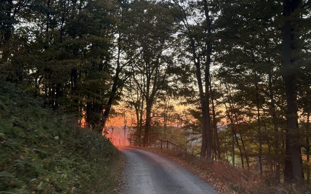 Deep Creek Daily Notes Blog October 12