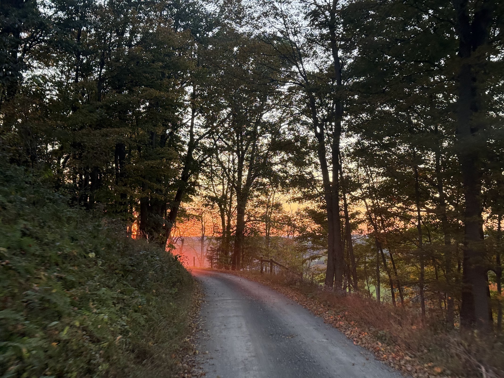 Deep Creek Daily Notes Blog October 12