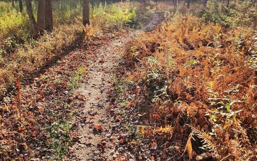 Deep Creek Daily Notes Blog October 19