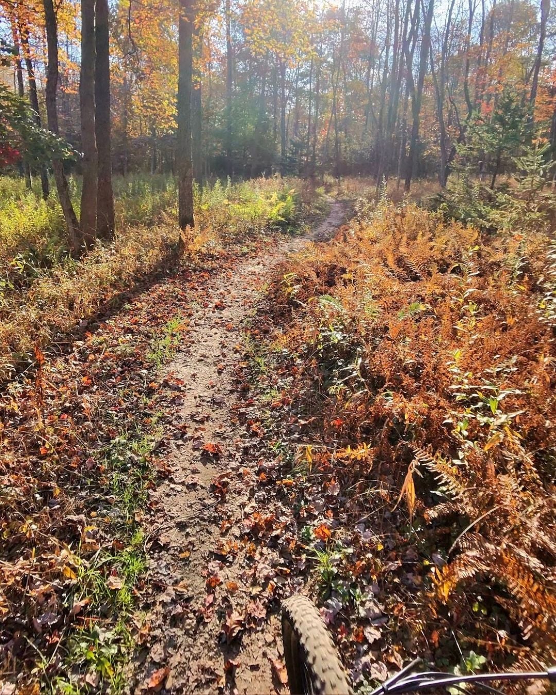 Deep Creek Daily Notes Blog October 19 Deep Creek Daily Notes Blog October 19