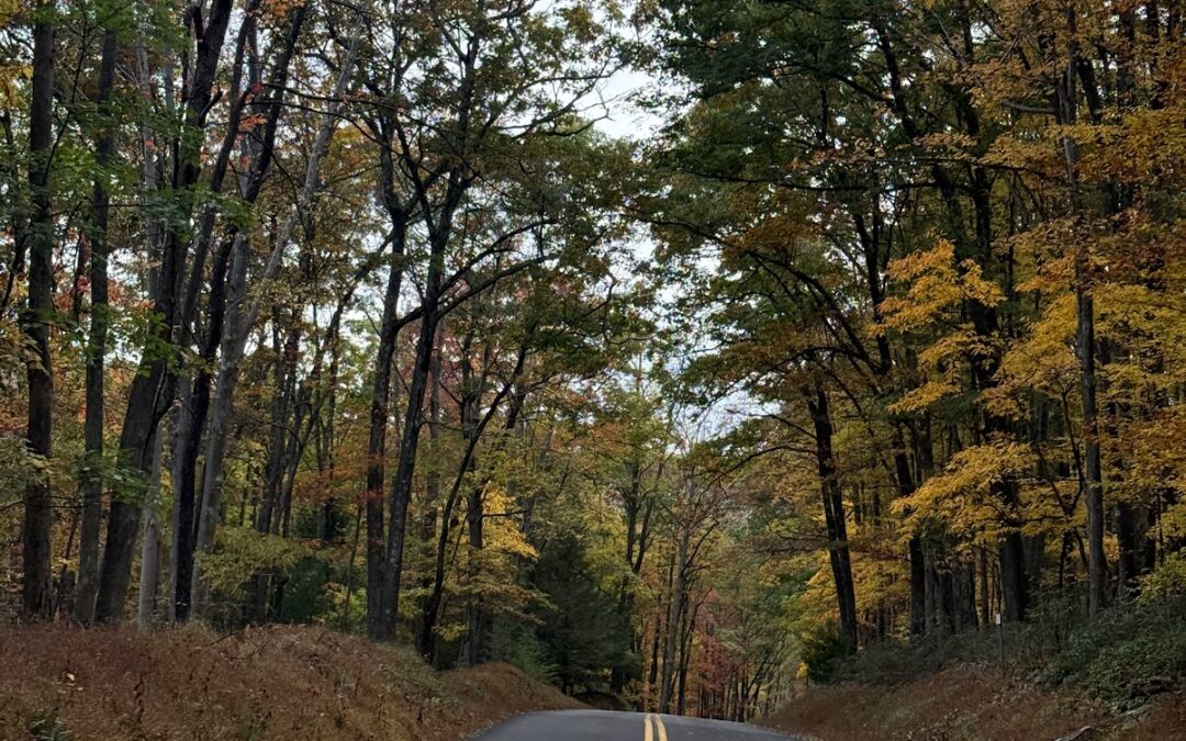 Deep Creek Daily Notes Blog October 20