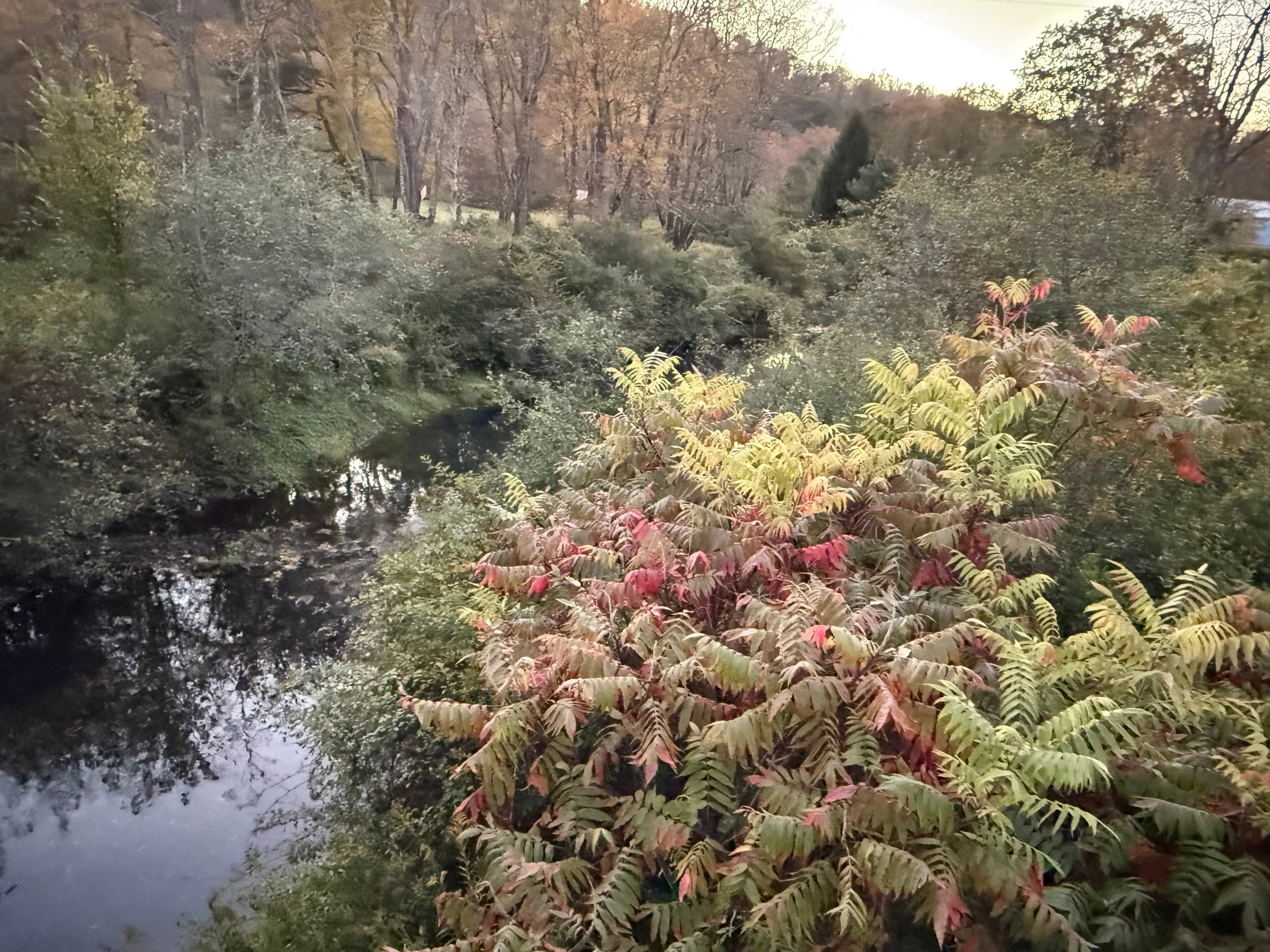 Deep Creek Daily Notes Blog October 21