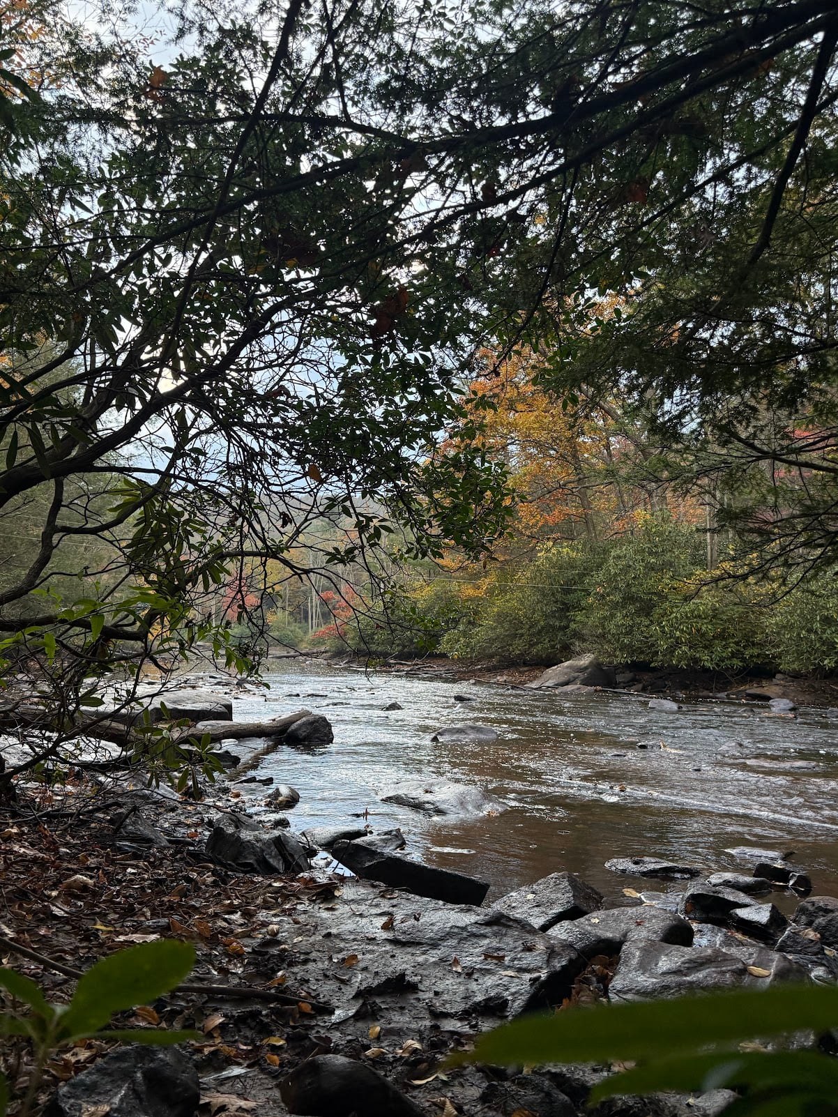 Deep Creek Daily Notes Blog October 22