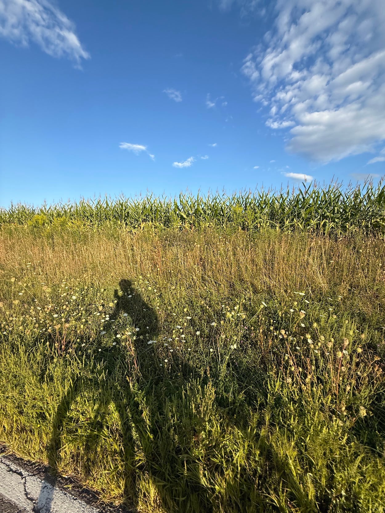 Deep Creek Daily Notes Blog October 6