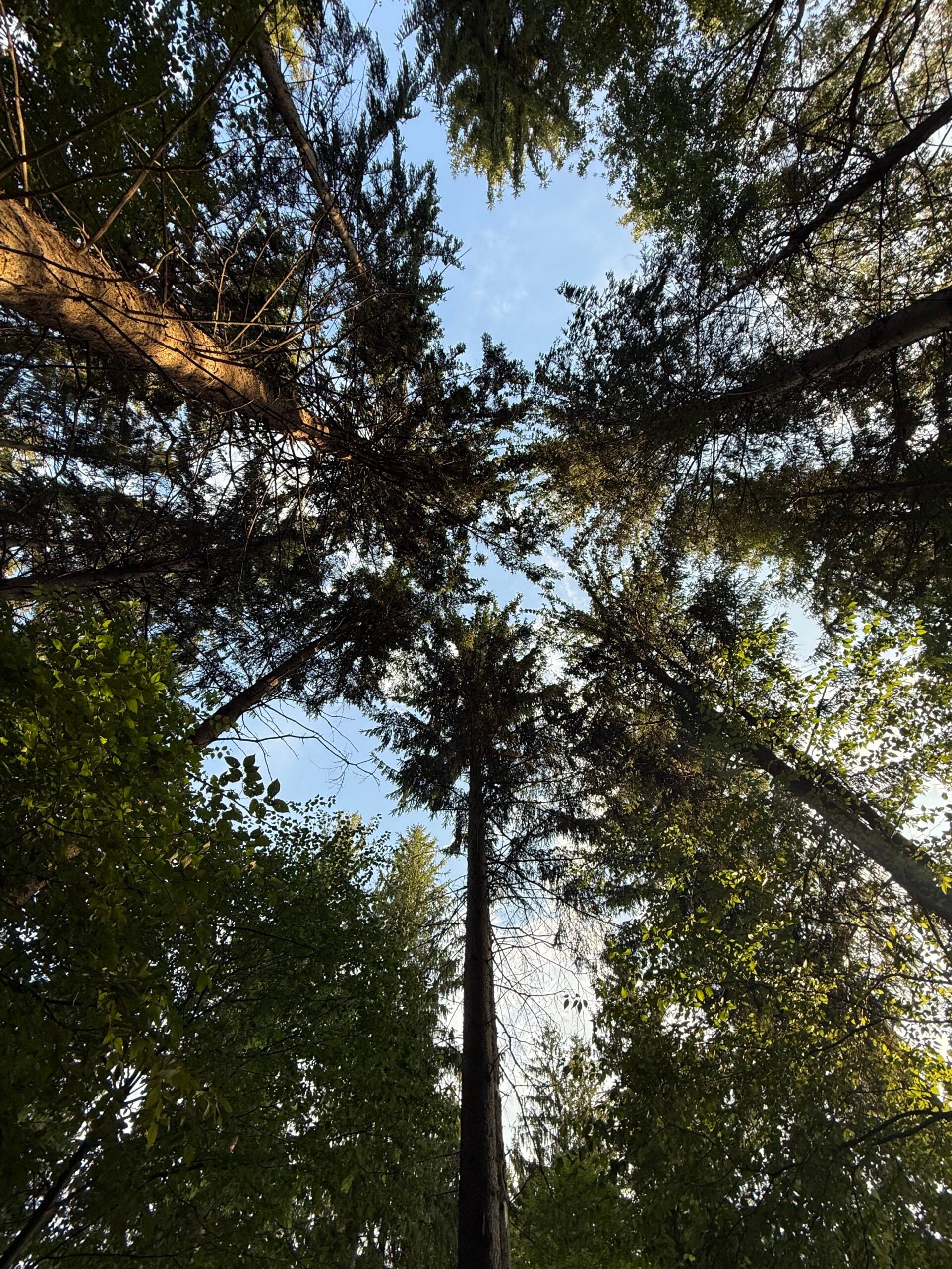 Deep Creek Daily Notes Blog September 17 Deep Creek Daily Notes Blog September 17
