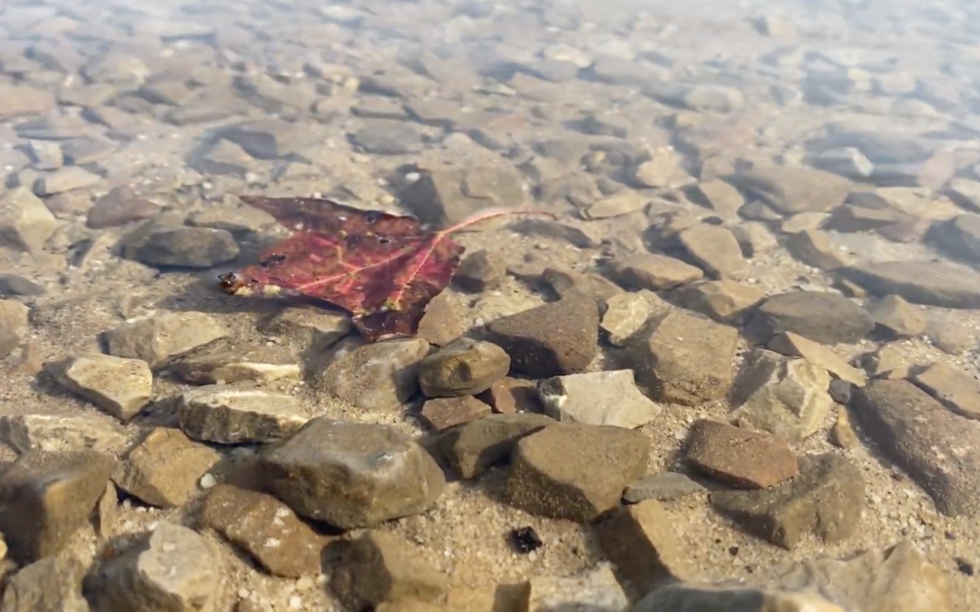 Deep Creek Daily Notes Blog September 23