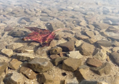 Deep Creek Daily Notes Blog September 23