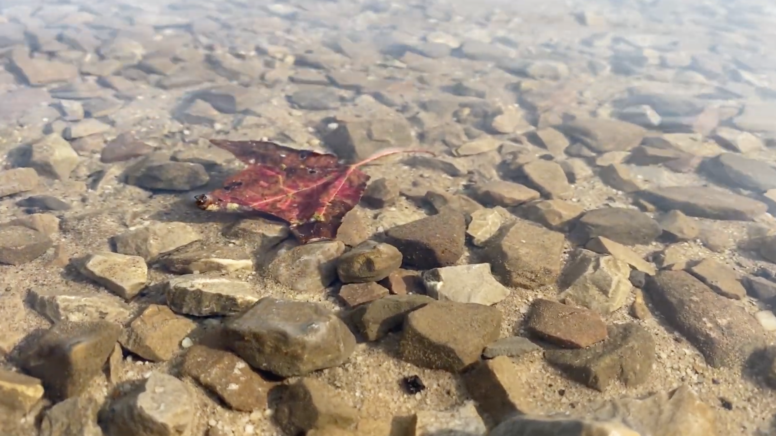 Deep Creek Daily Notes Blog September 23