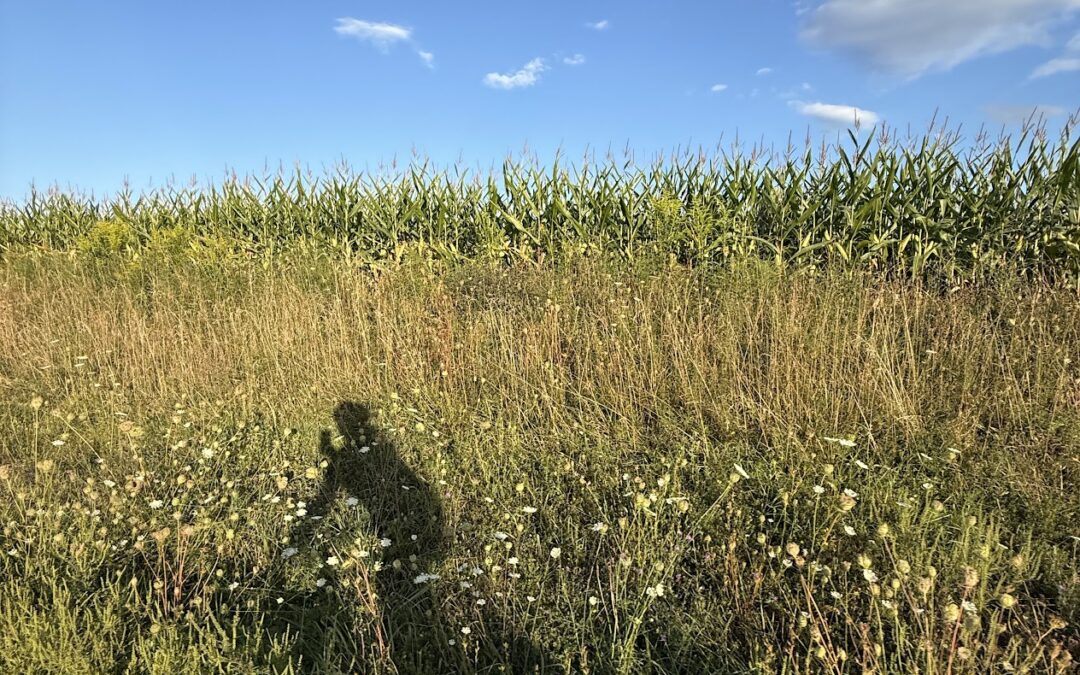 Deep Creek Daily Notes Blog September 25 Weekend