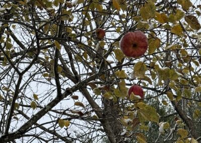 Deep Creek Daily Notes Blog – Thanksgiving