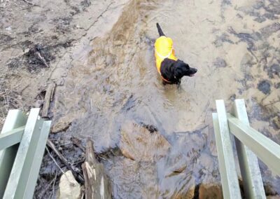Deep Creek Lake Daily Notes Blog April 13
