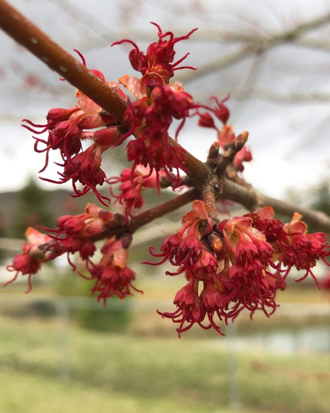 Deep Creek Lake Daily Notes Blog April 15