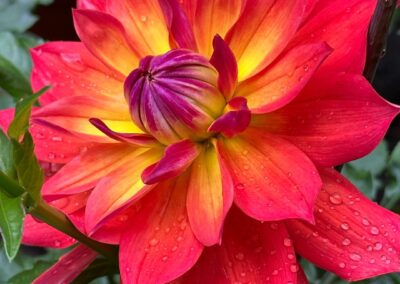 Deep Creek Lake Daily Notes Blog April 17 Weekend