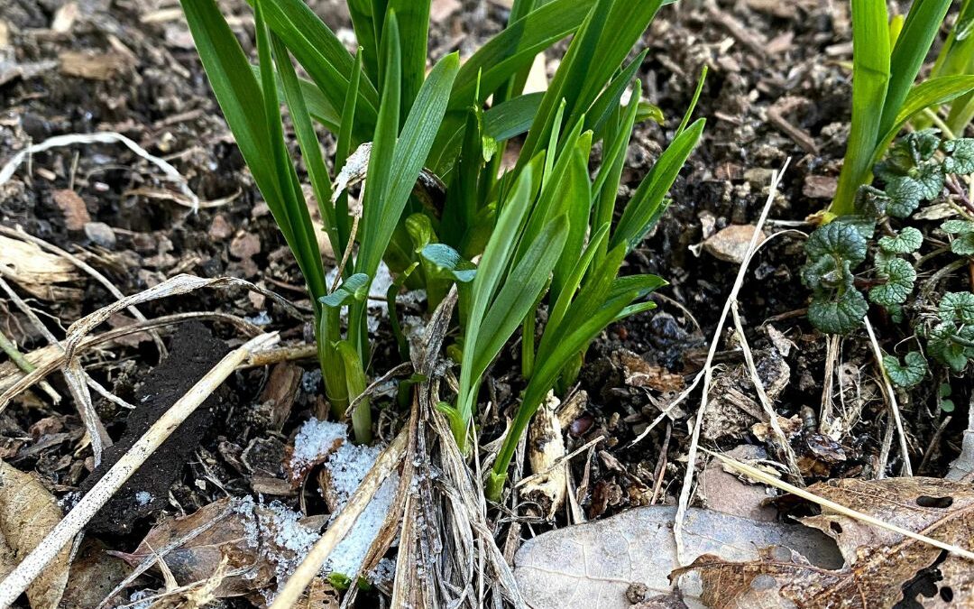 Deep Creek Lake Daily Notes Blog April 20