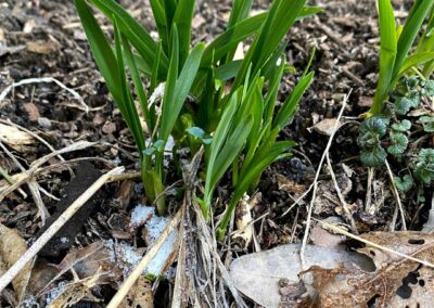 Deep Creek Lake Daily Notes Blog April 20