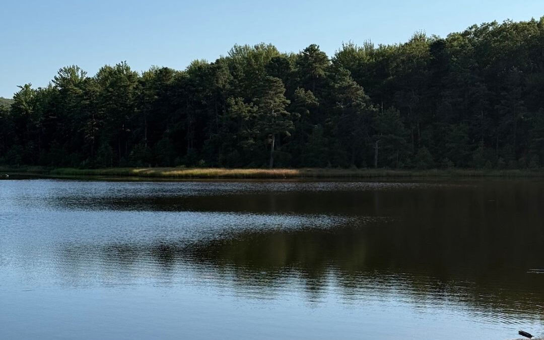 Deep Creek Lake Daily Notes Blog April 21