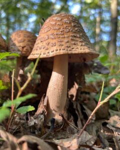 Deep Creek Lake Daily Notes Blog April 22