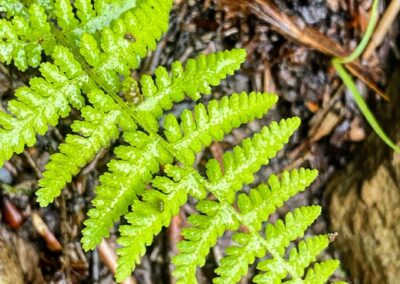 Deep Creek Lake Daily Notes Blog April 29