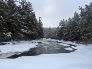Deep Creek Lake Daily Notes Blog February 1