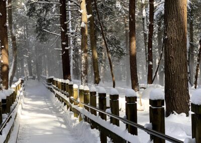 Deep Creek Lake Daily Notes Blog February 23