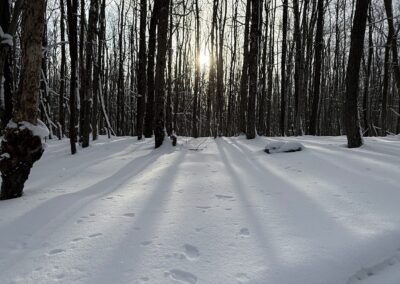 Deep Creek Lake Daily Notes Blog February 4