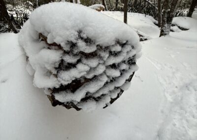 Deep Creek Lake Daily Notes Blog February 9