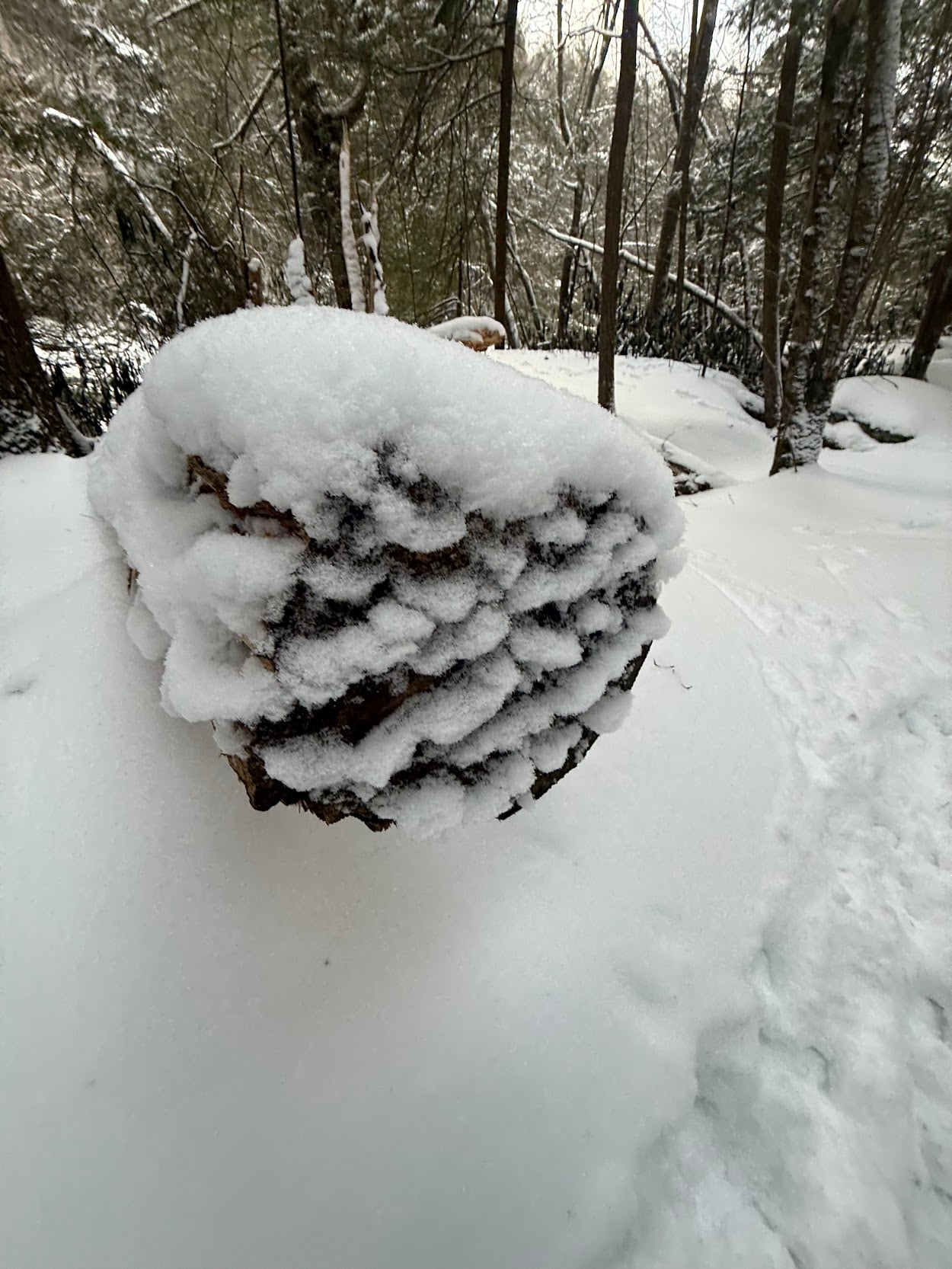 Deep Creek Lake Daily Notes Blog February 9 Deep Creek Lake Daily Notes Blog February 9