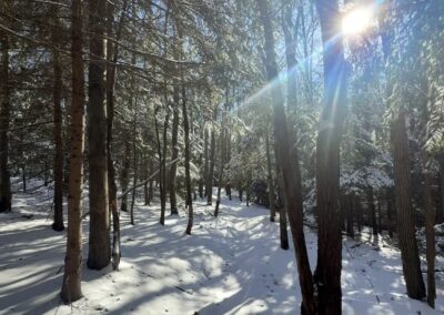 Deep Creek Lake Daily Notes Blog January 13