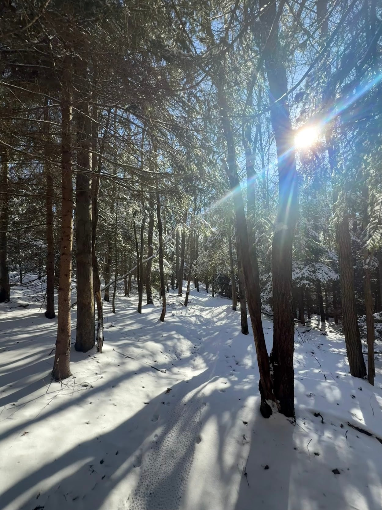 Deep Creek Lake Daily Notes Blog January 13