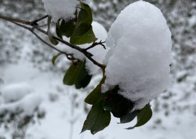 Deep Creek Lake Daily Notes Blog January 26