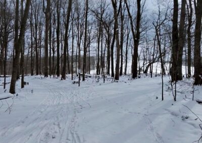 Deep Creek Lake Daily Notes Blog January 27