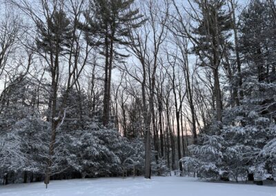Deep Creek Lake Daily Notes Blog January 28