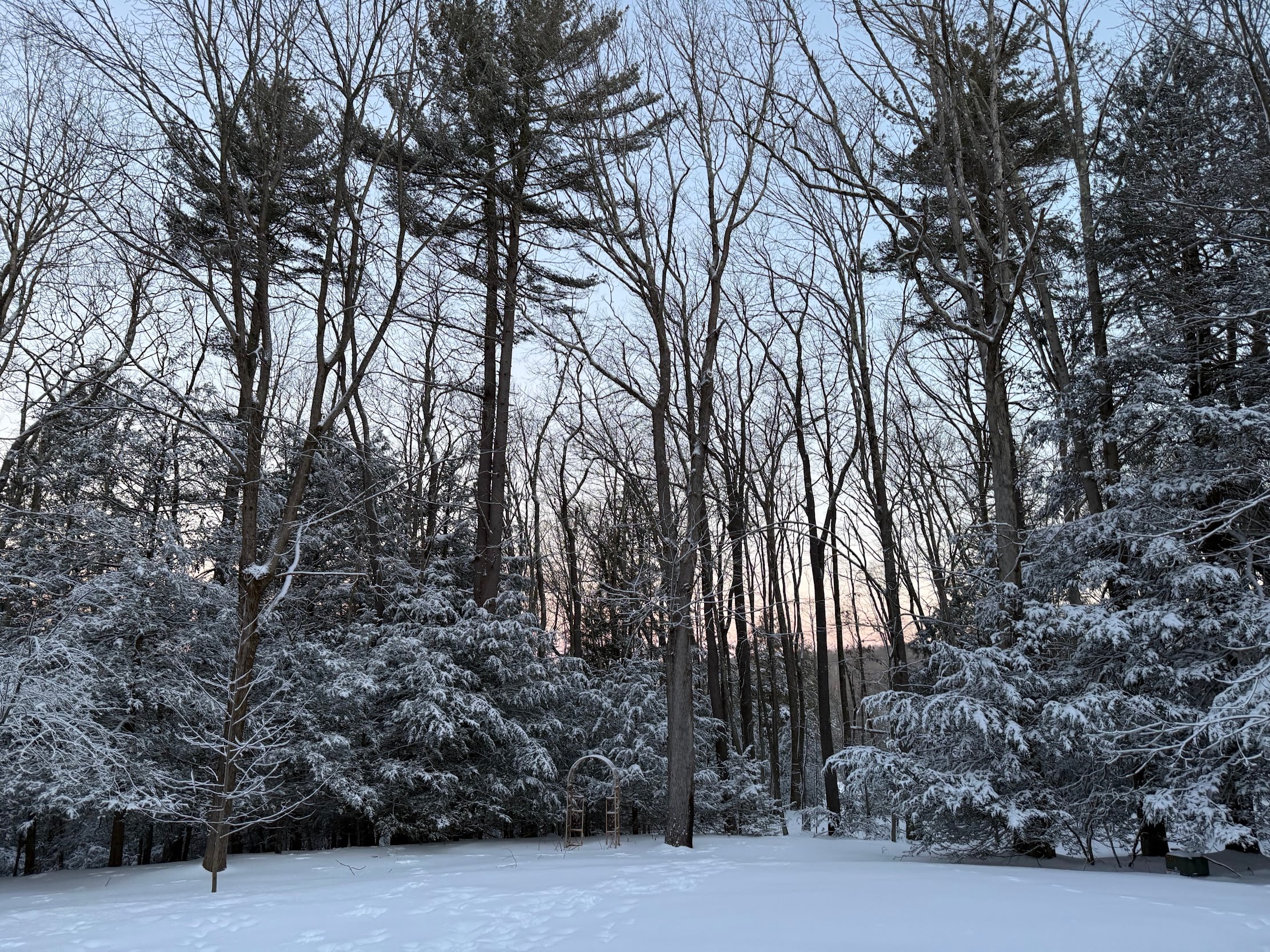 Deep Creek Lake Daily Notes Blog January 28