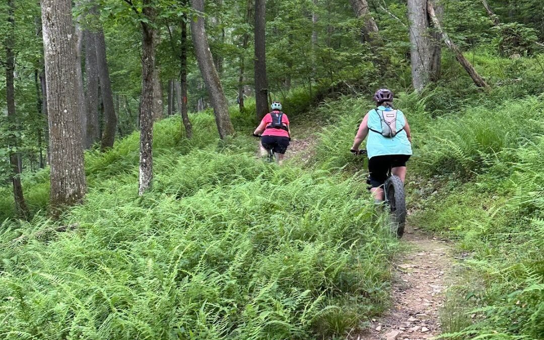 Deep Creek Lake Daily Notes Blog June 11