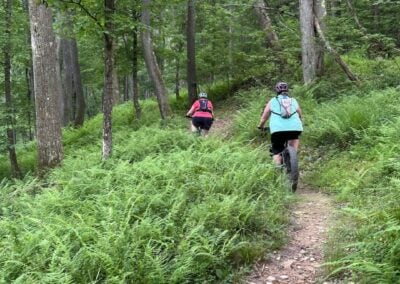 Deep Creek Lake Daily Notes Blog June 11