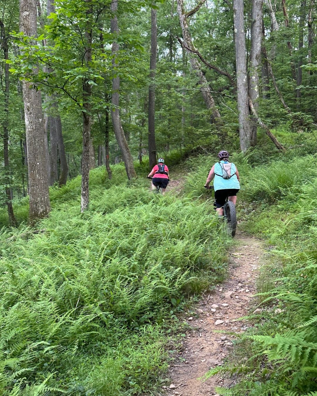 Deep Creek Lake Daily Notes Blog June 11