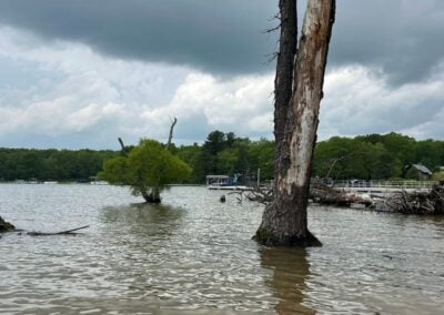 Deep Creek Lake Daily Notes Blog June 15