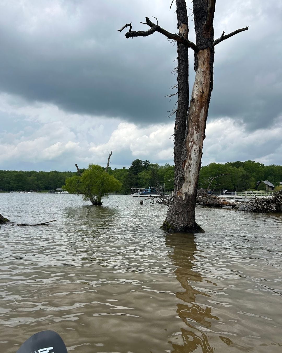 Deep Creek Lake Daily Notes Blog June 15