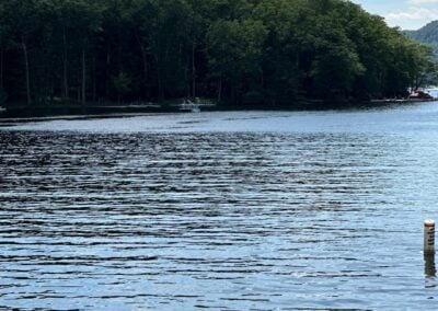 Deep Creek Lake Daily Notes Blog June 2