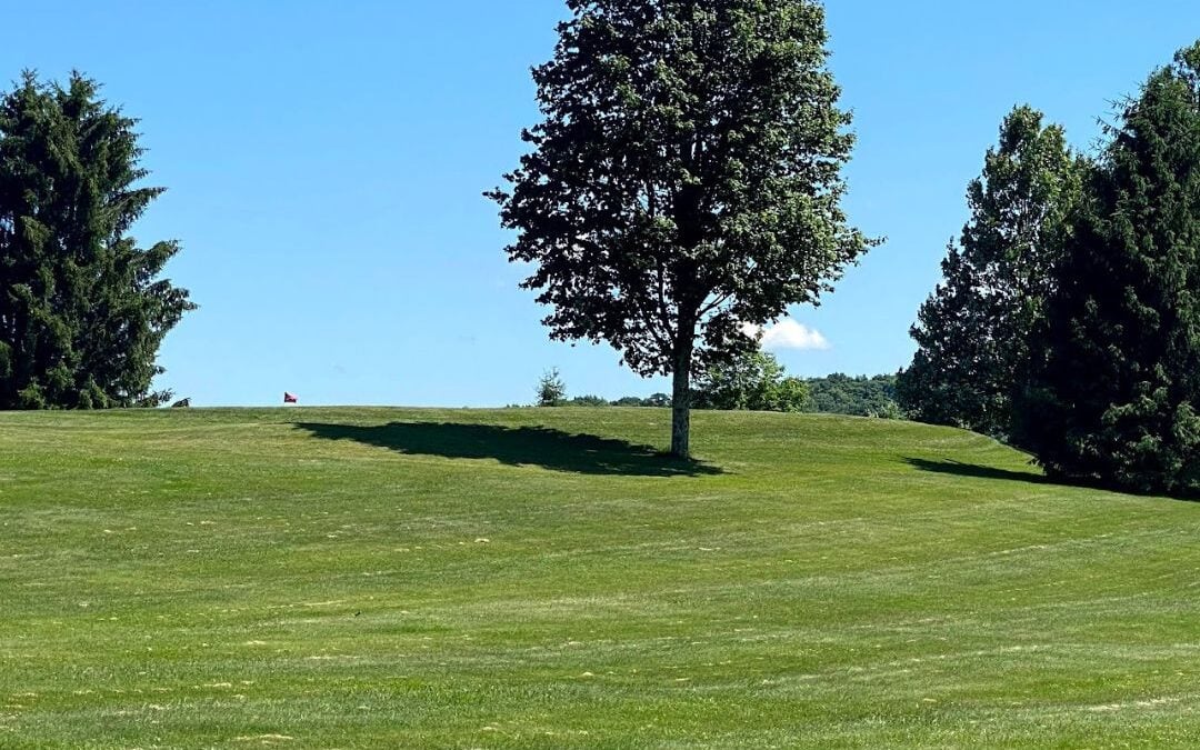 Deep Creek Lake Daily Notes Blog June 3