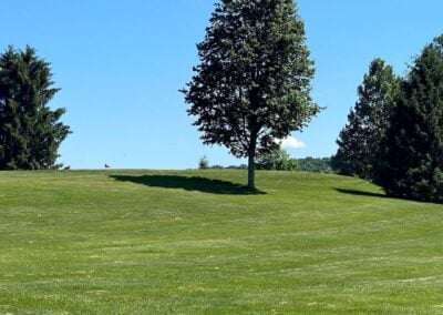 Deep Creek Lake Daily Notes Blog June 3