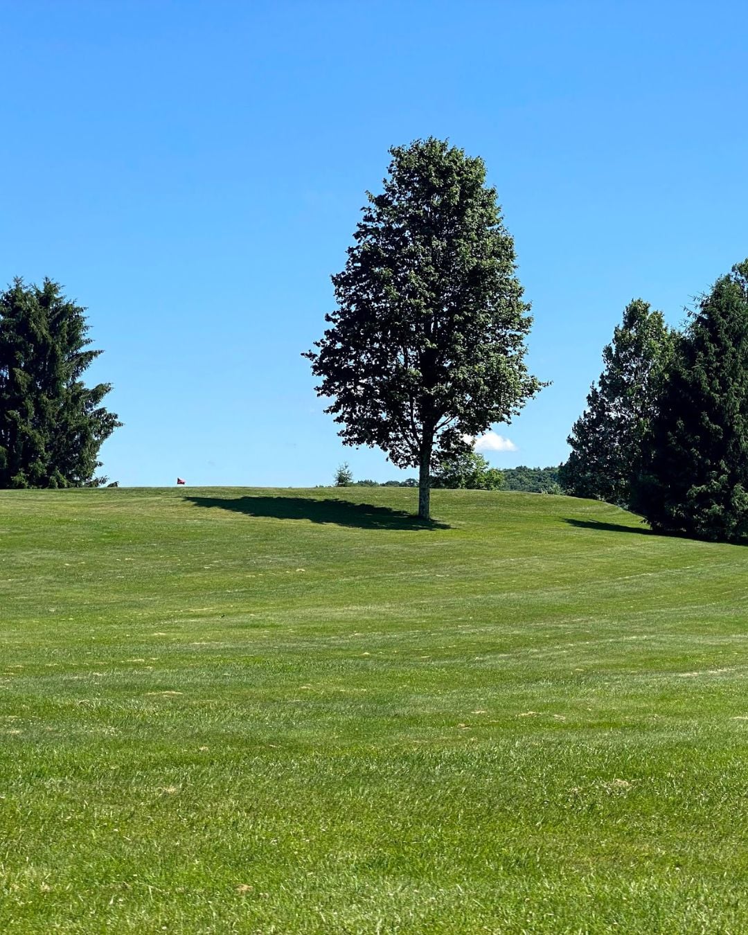 Deep Creek Lake Daily Notes Blog June 3