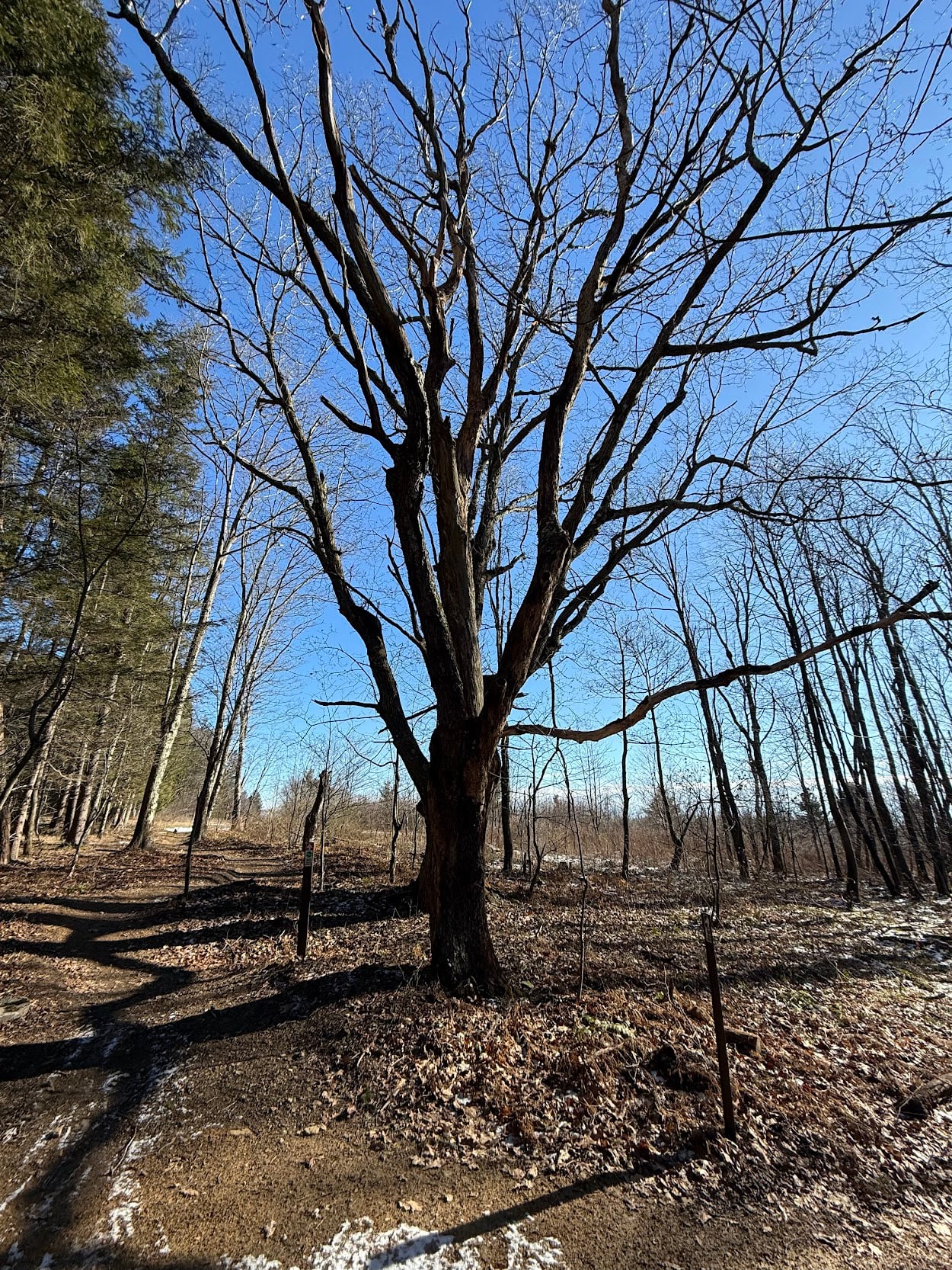 Deep Creek Lake Daily Notes Blog March 19