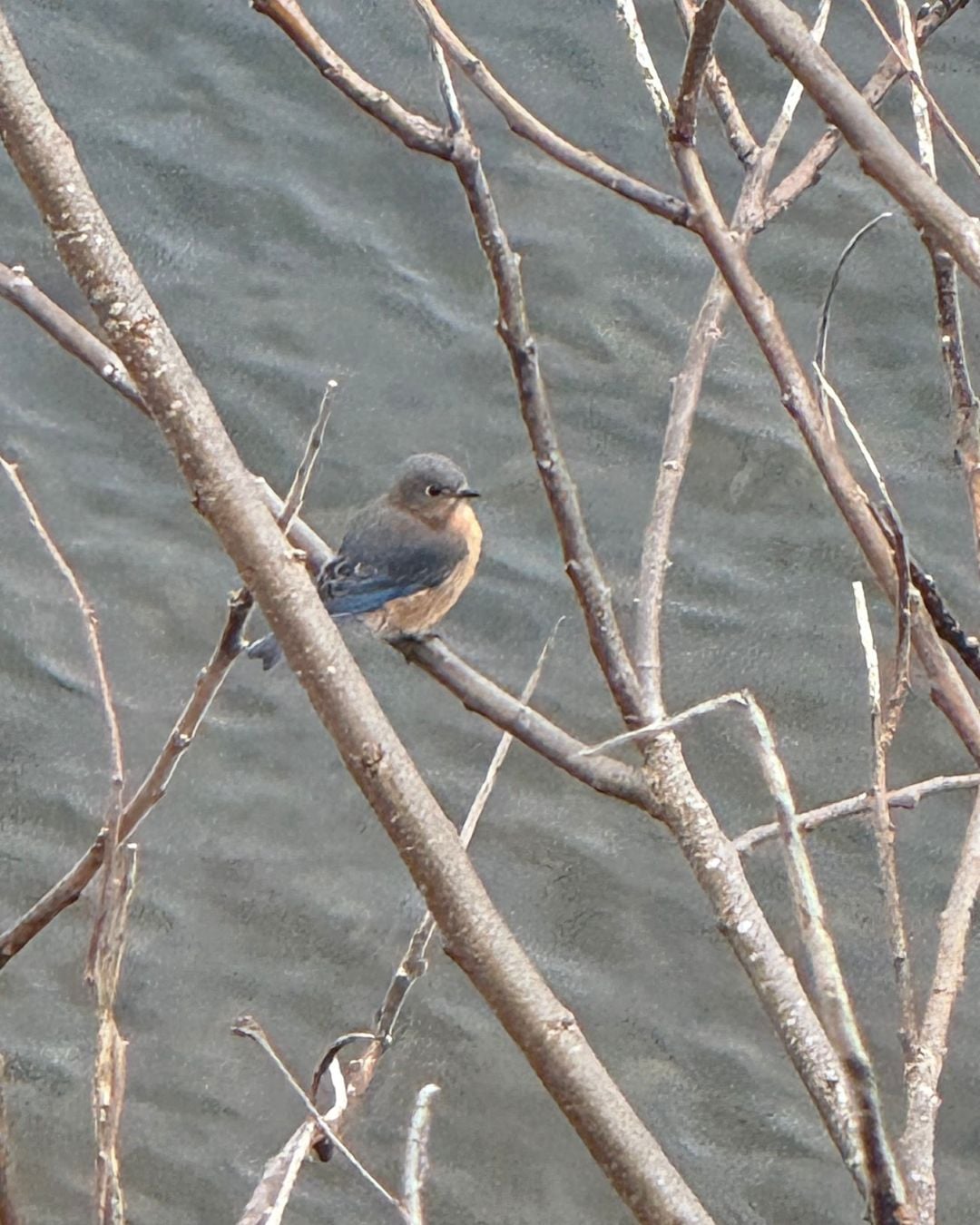 Deep Creek Lake Daily Notes Blog March 23