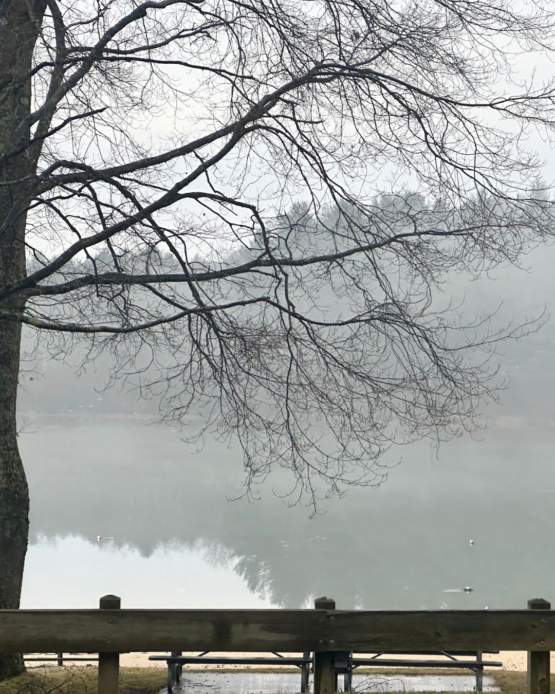 Deep Creek Lake Daily Notes Blog March 27 Weekend
