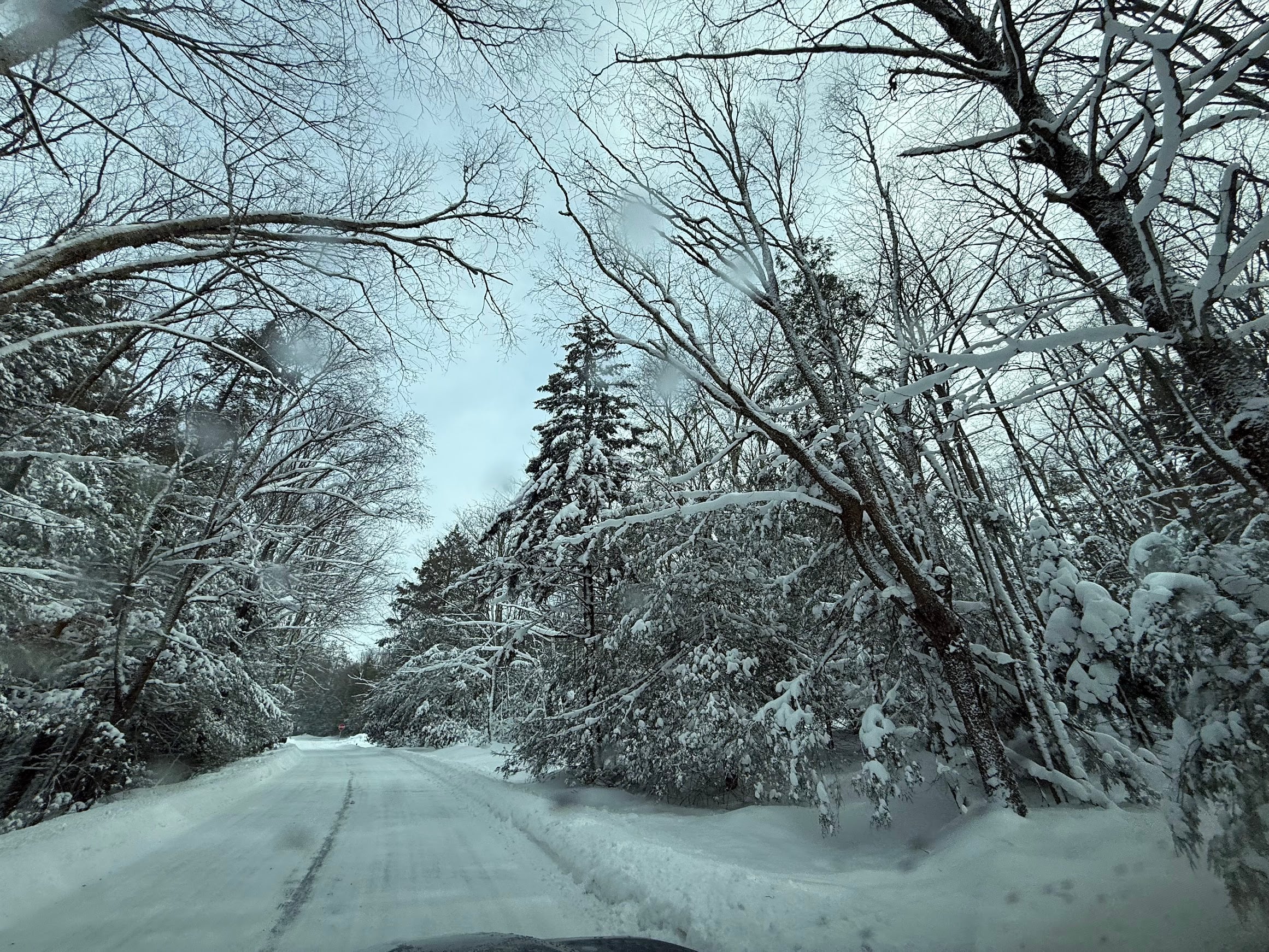 Deep Creek Lake Daily Notes Blog March 3